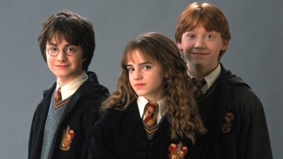 Harry Potter TV series new cast