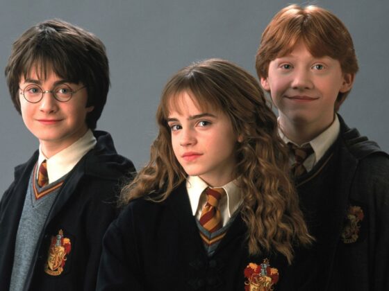 Harry Potter TV series new cast