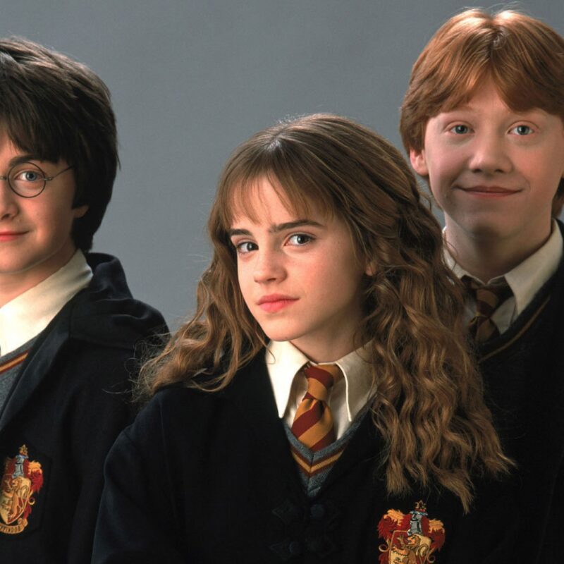 Harry Potter TV series new cast